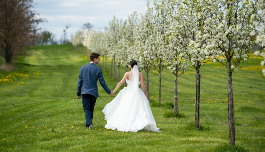 Was bedeutet es, von der Hochzeit einer anderen Person zu träumen?