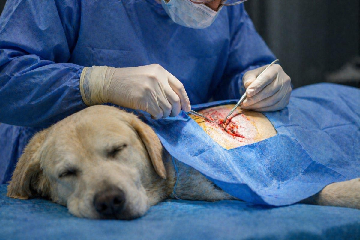 Welche Behandlungen besonders teuer werden k&ouml;nnen